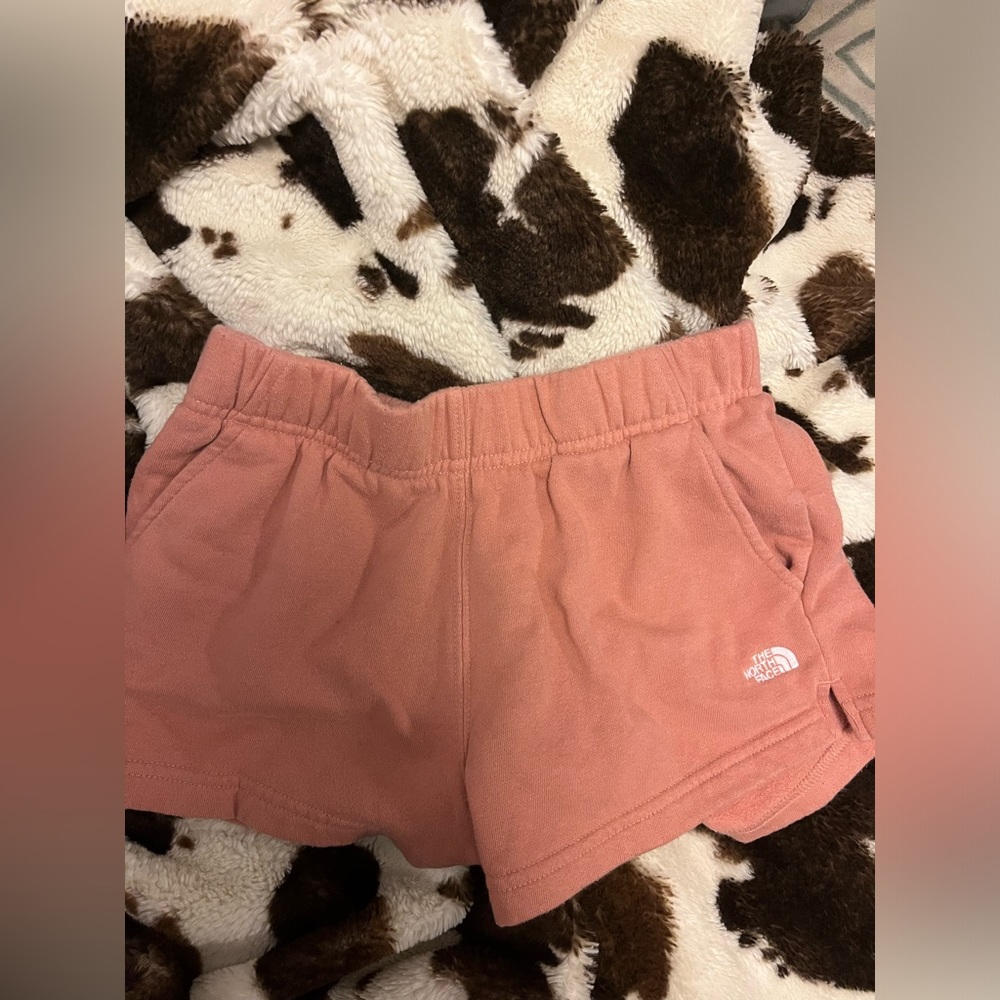 North face shorts